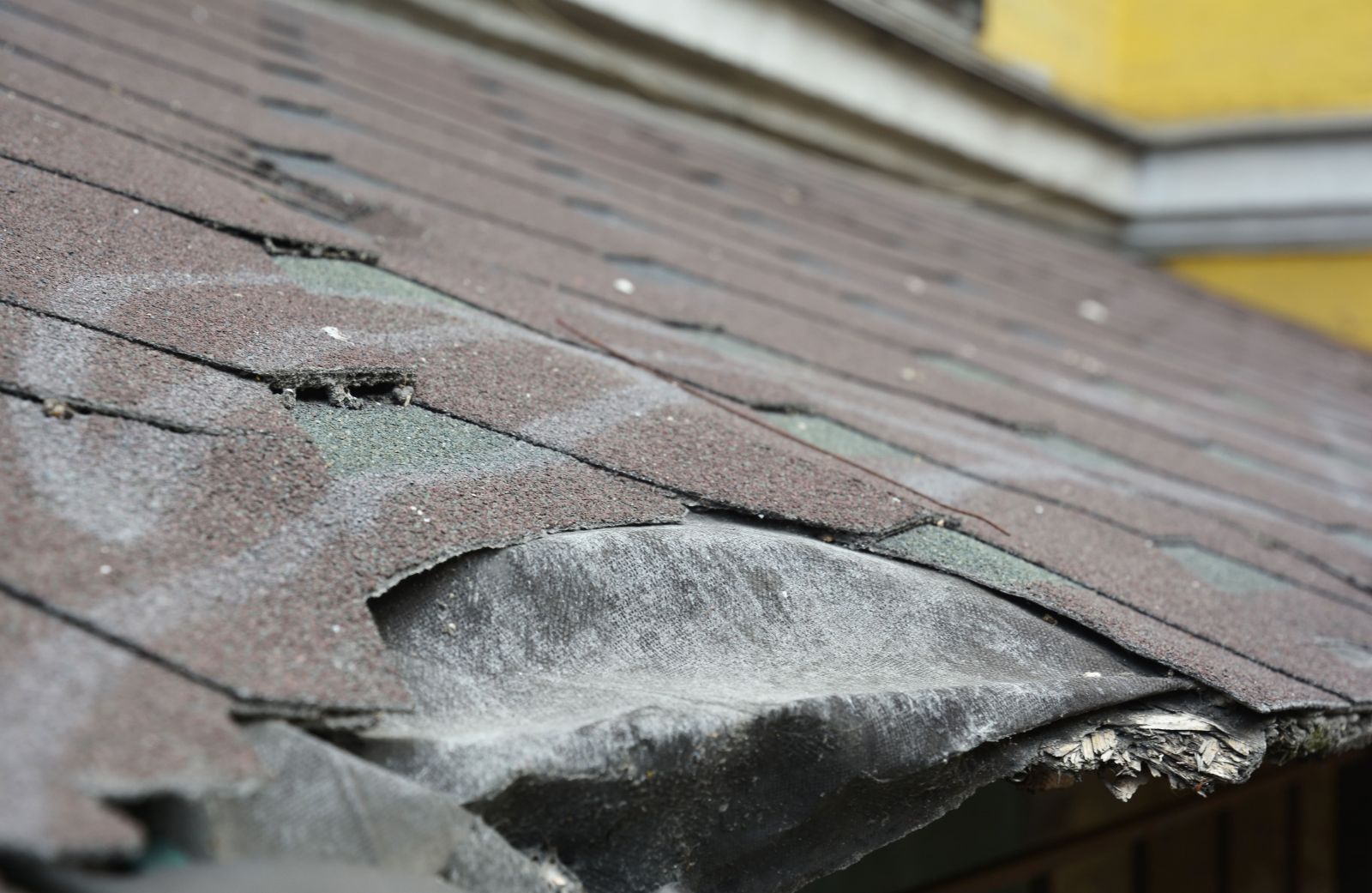 Francisco's Roofing LLC Images