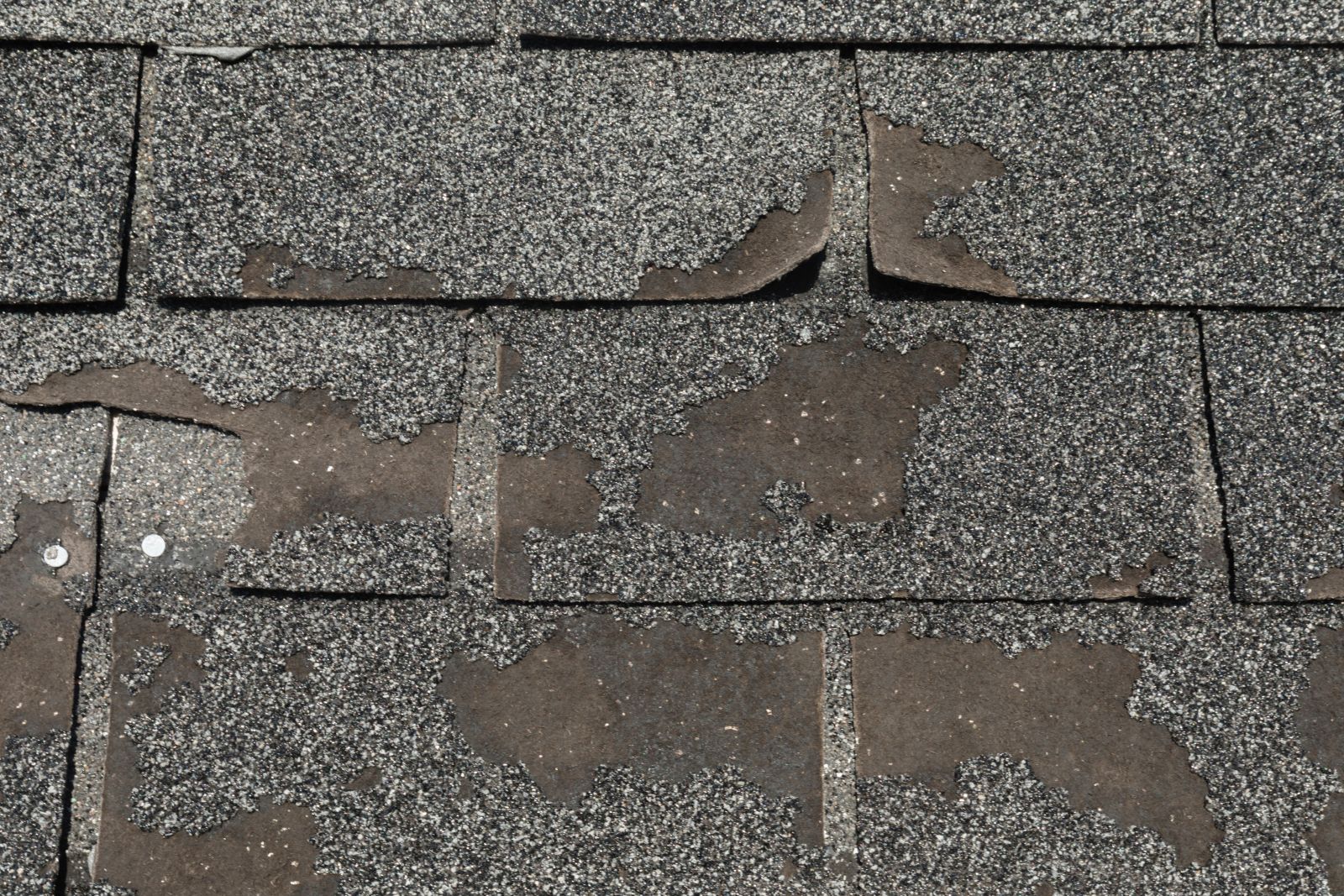 Francisco's Roofing LLC Images